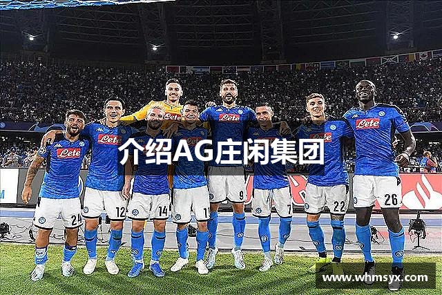 介绍AG庄闲集团